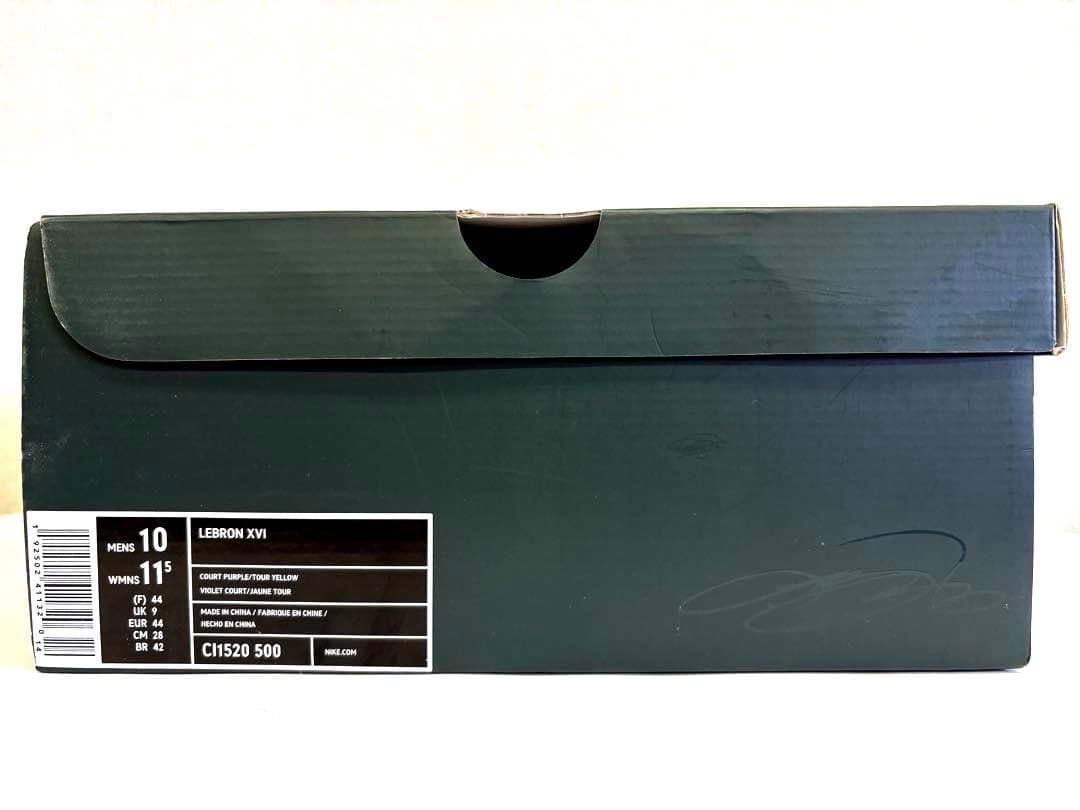 シューズ(男性用) NIKE LEBRON XVI \"MARTIN\" 28cm