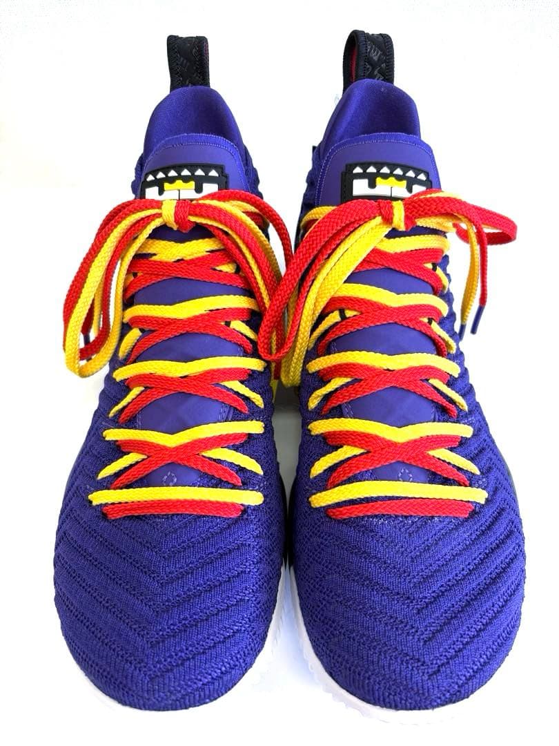 シューズ(男性用) NIKE LEBRON XVI \"MARTIN\" 28cm