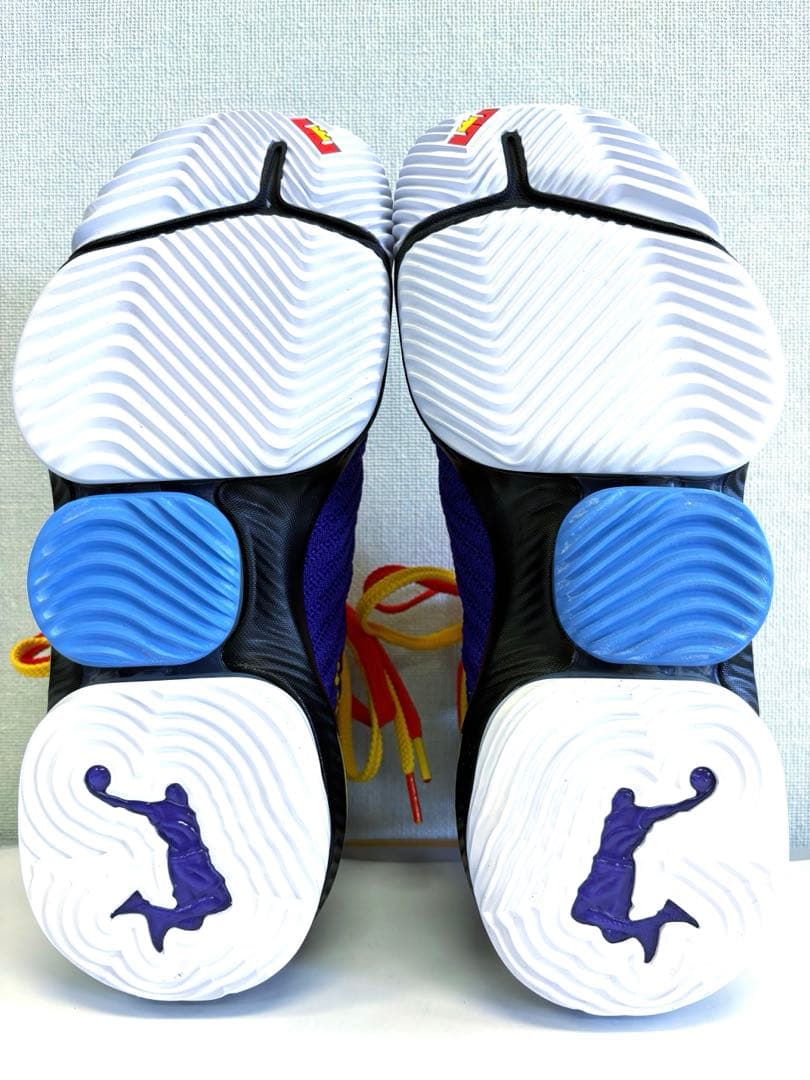 シューズ(男性用) NIKE LEBRON XVI \"MARTIN\" 28cm