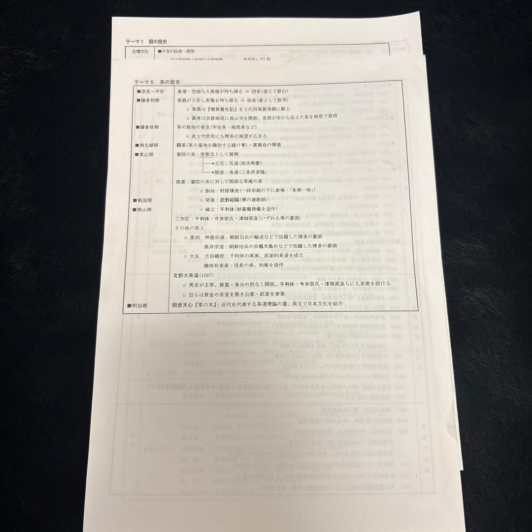 河合塾 日本史 坂本勝良プリント (文化史/内閣まとめ/テーマ史)