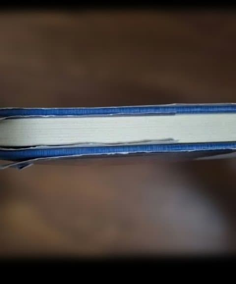 エッセンシャルカイロプラクティック哲学