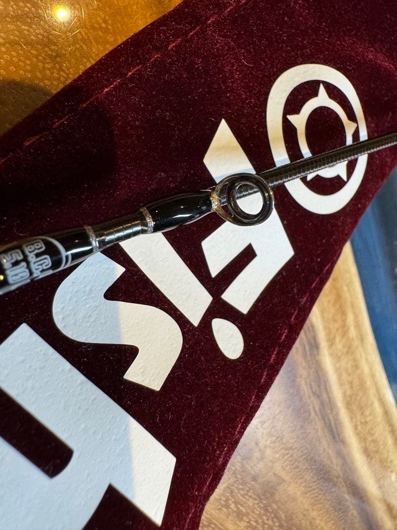 Fishman（フィッシュマン） B.C.4 5.10L（bc4 5.10L）