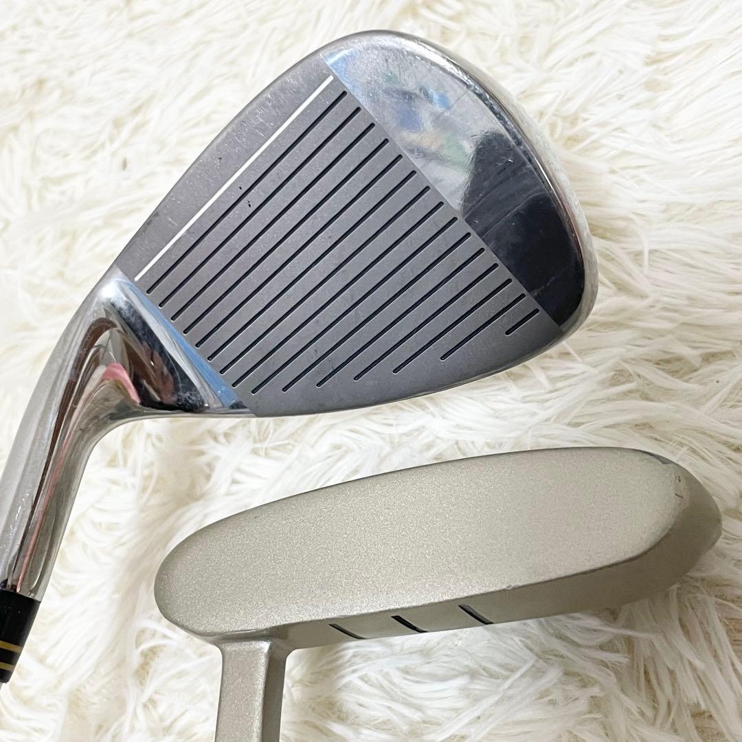 ★良品★ ワールドイーグル XL-01 レディースクラブ9本セット　バッグ付き