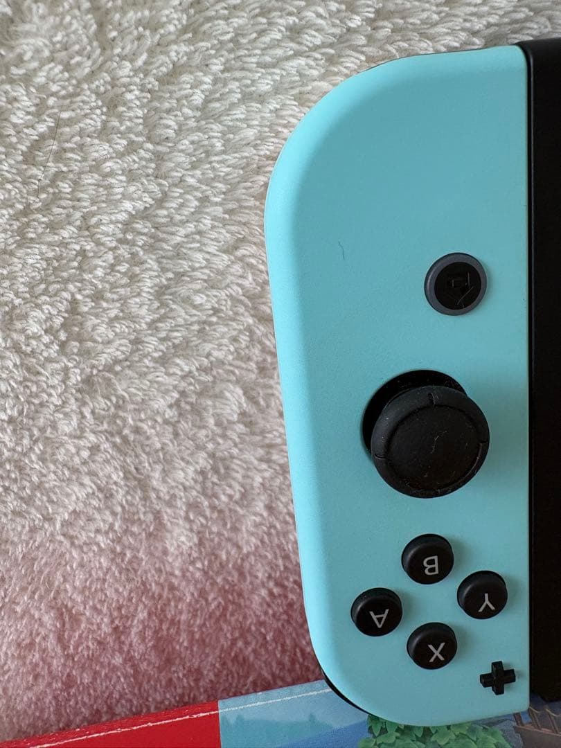 ニンテンドー　スイッチ　本体　どうぶつの森　特別デザインセット