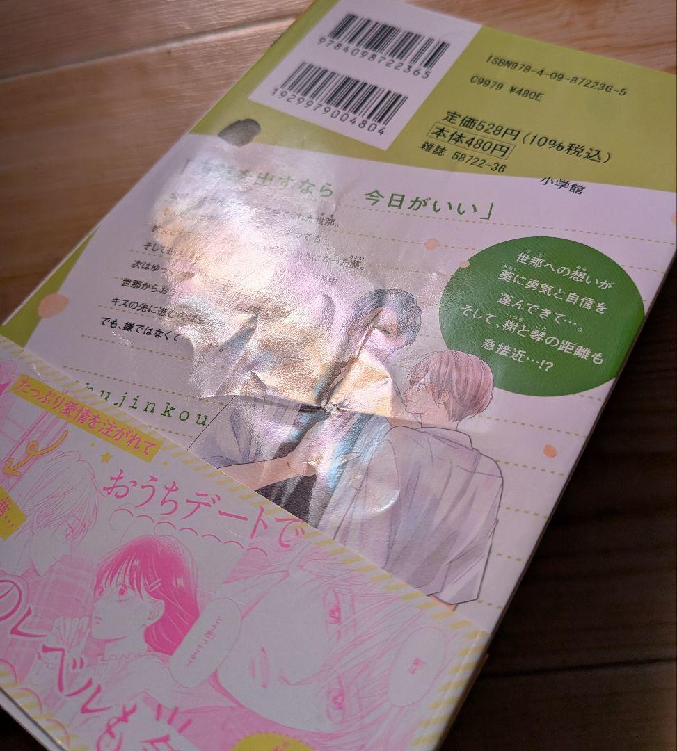 ☆本日限定価格☆主人恋日記　全巻セット