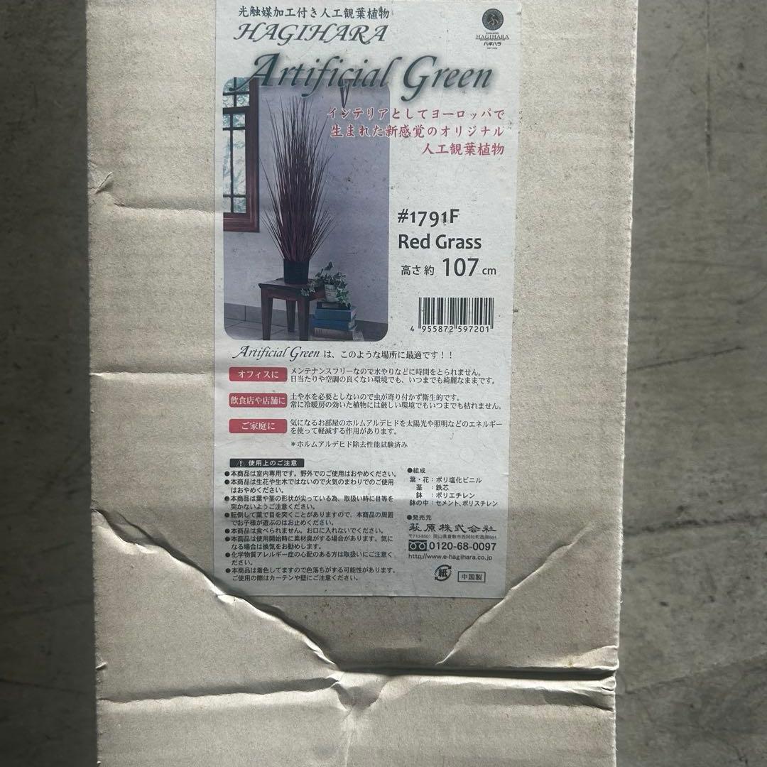 【残り1点！】人工観葉植物 レッドグラス M 約107cm