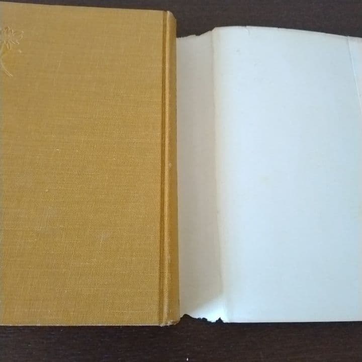 アルピニズム・アクロバチコ