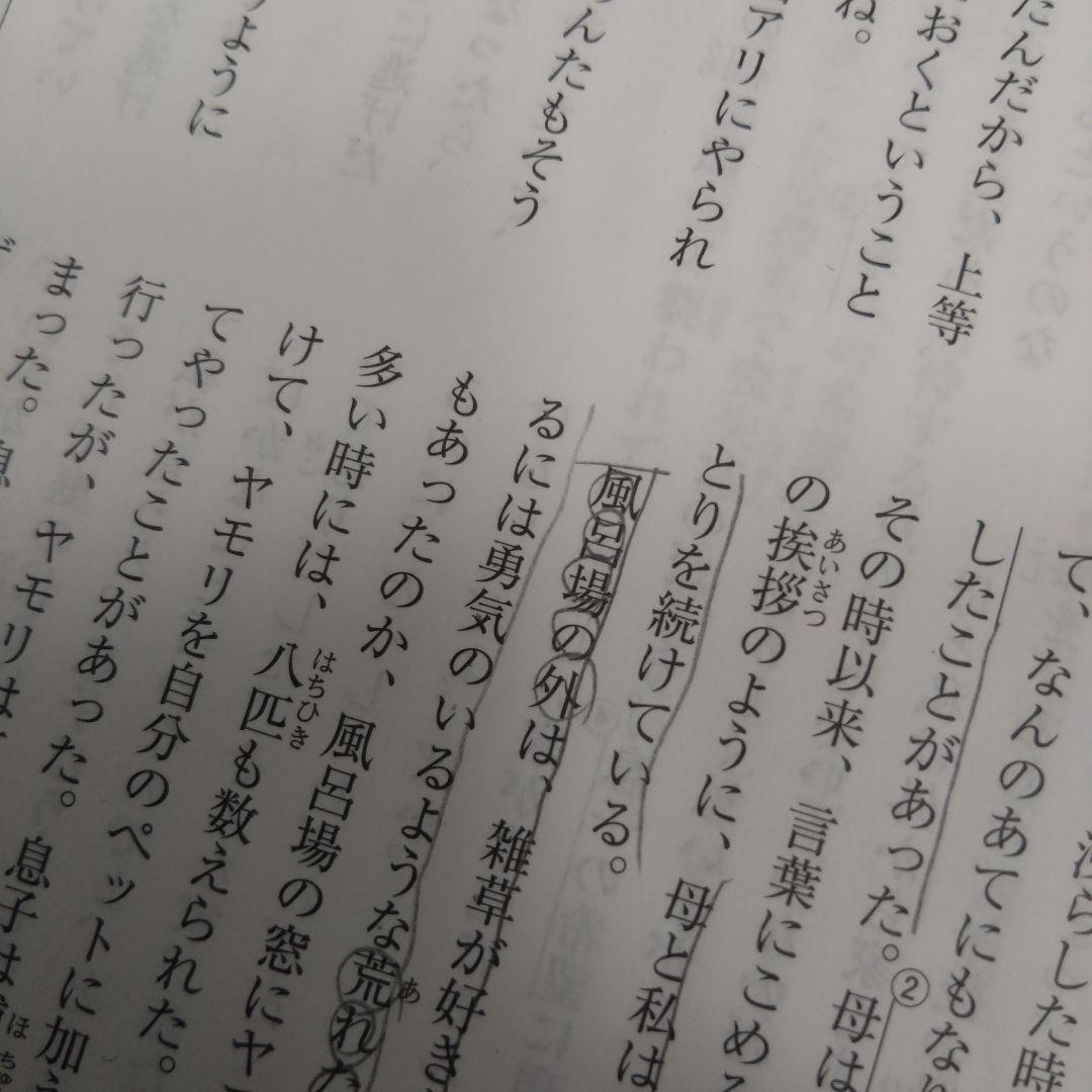 早稲アカ 中２ 特訓クラス選抜試験 3科目 １年分 ２０２４年度
