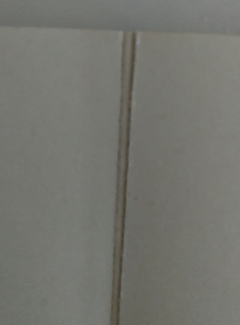 ホルスト・ヤンセン作品集 図録 画集 Horst Janssen