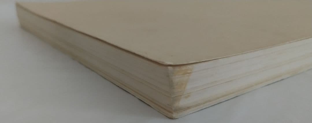 ホルスト・ヤンセン作品集 図録 画集 Horst Janssen