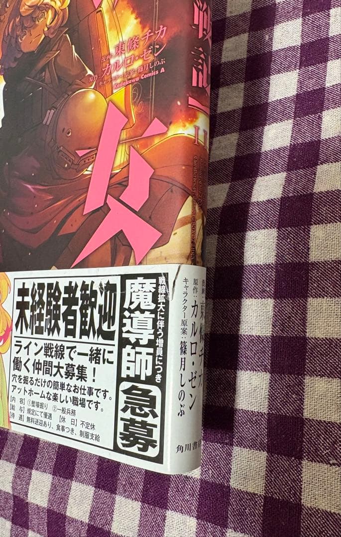 幼女戦記　1~33巻+大隊野史1巻　特典イラストカード付　全巻初版