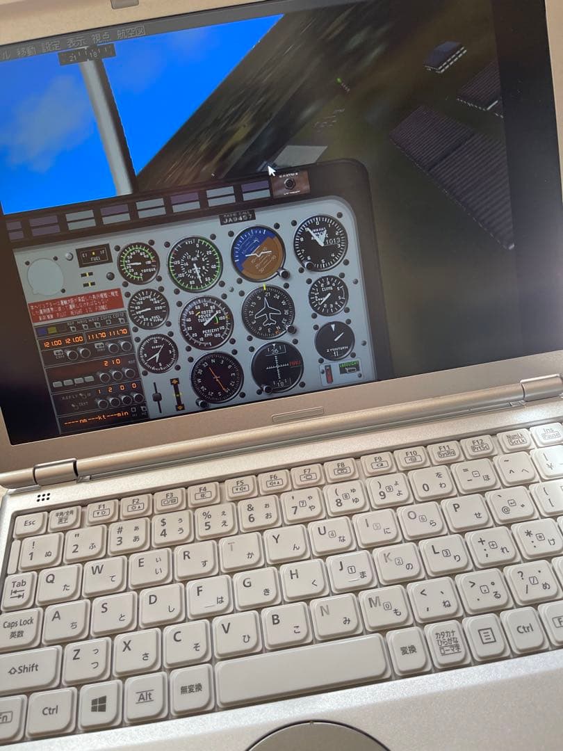 REAL FLIGHT HELICOPTER リアルフライト　ヘリコプター