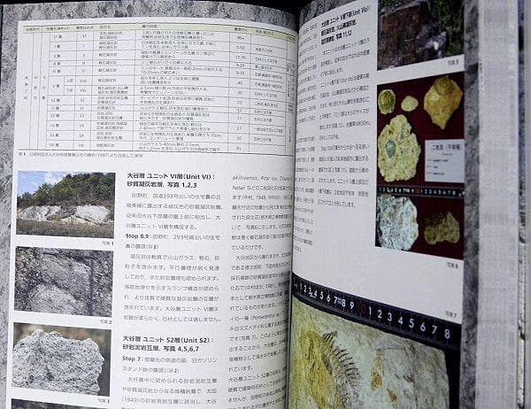 石材　外壁　土蔵　建材　岩石　鉱石　図録　石の街うつのみや大谷石をめぐる近代建築