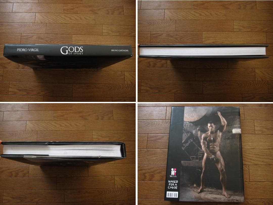 Gods of Sport　Pedro Virgil