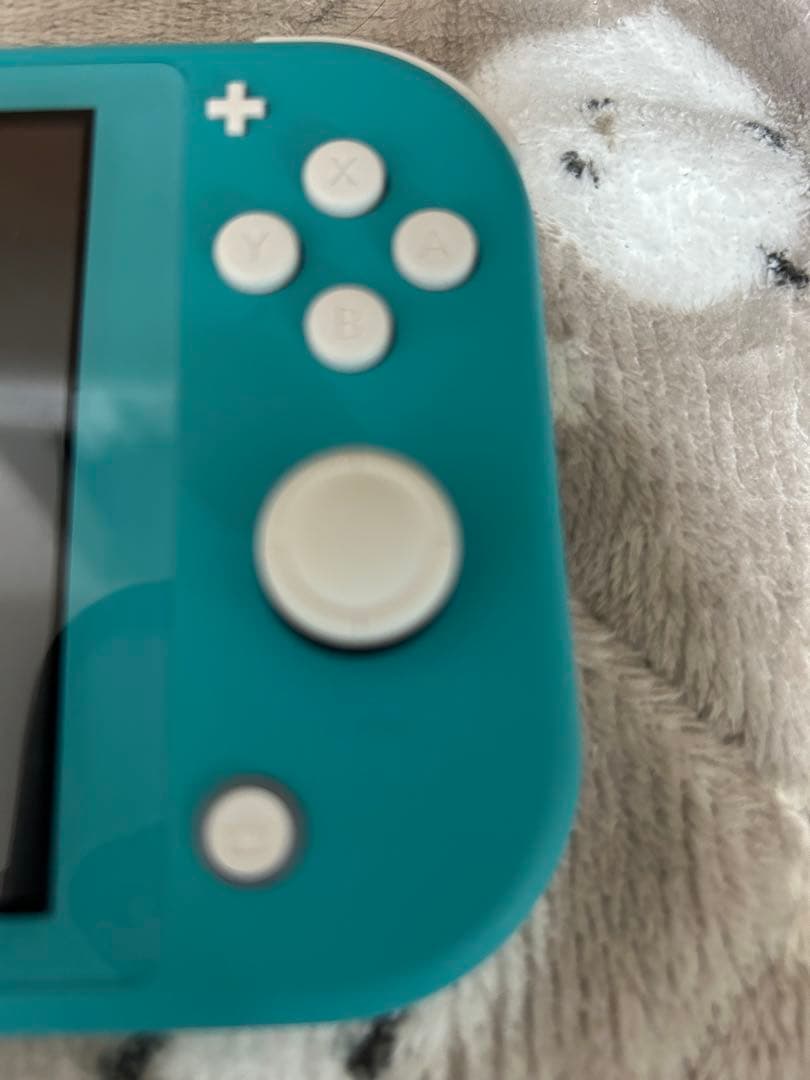 Nintendo Switch Lite ターコイズ 本体 ケース カバー付き