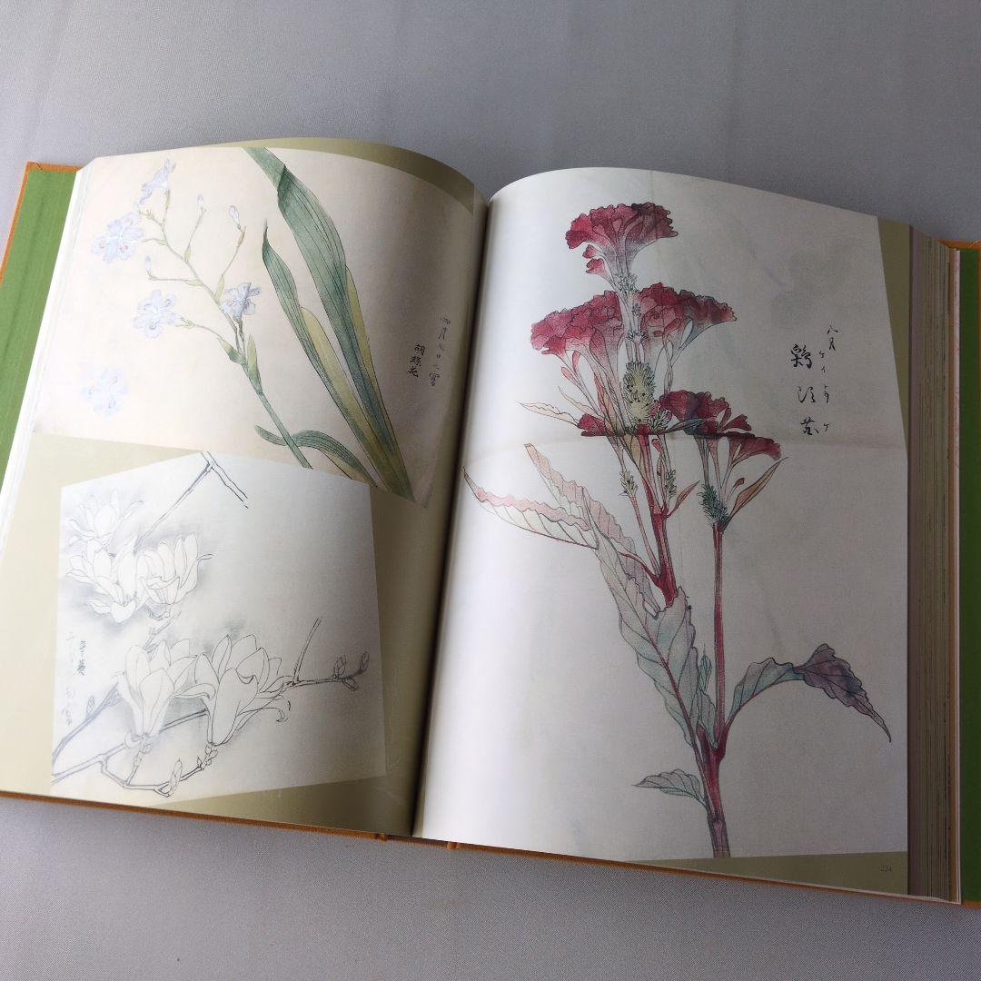 【美品】柴田是真下絵・写生集 東京芸術大学大学美術館所蔵