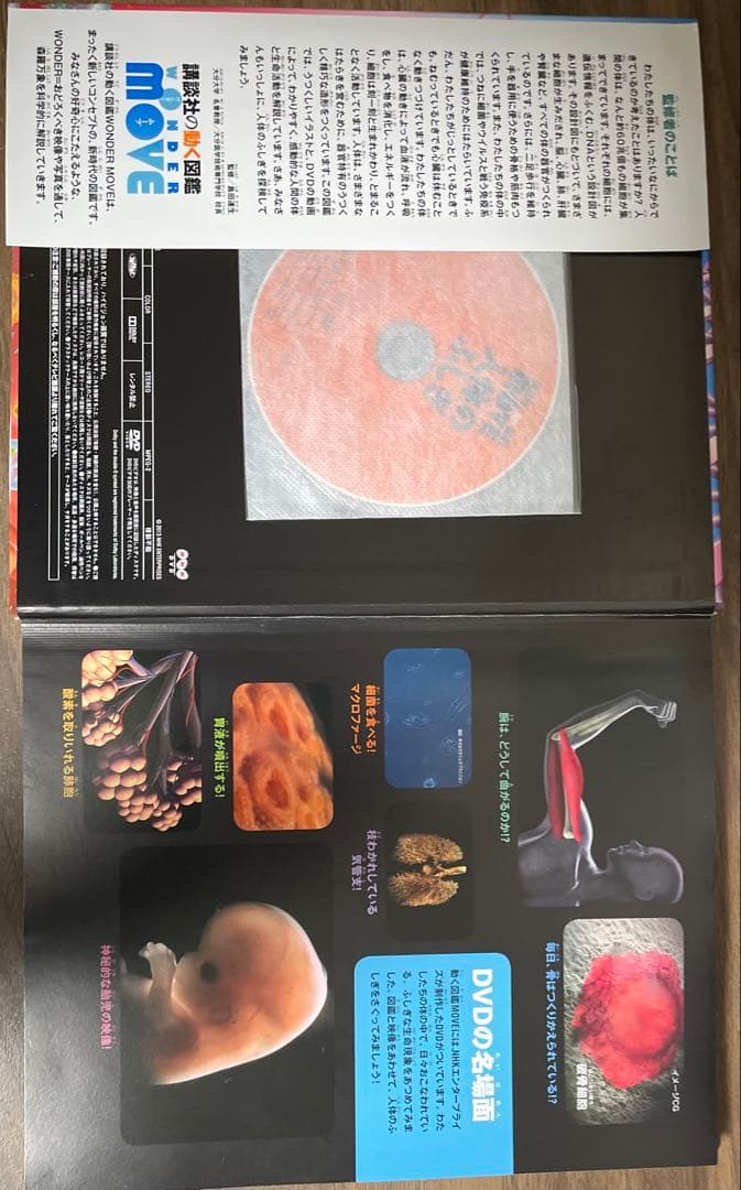 講談社の動く図鑑MOVE10冊セット　※DVDあり