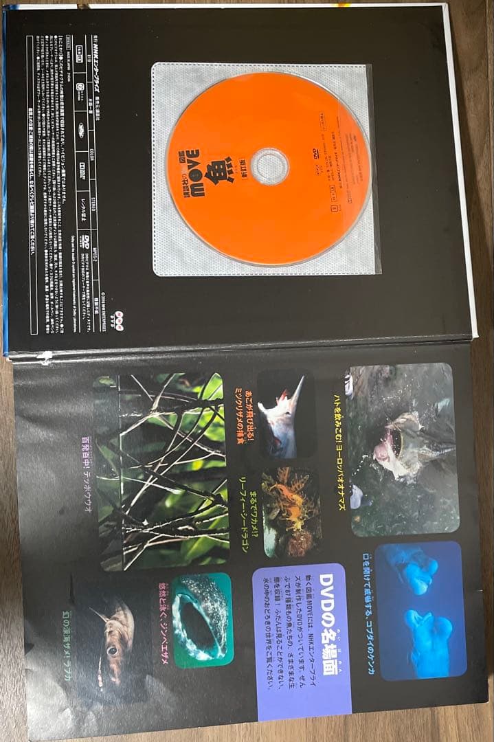 講談社の動く図鑑MOVE10冊セット　※DVDあり