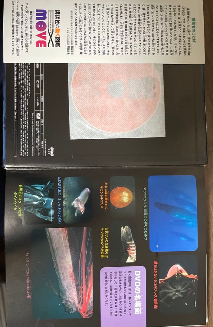 講談社の動く図鑑MOVE10冊セット　※DVDあり