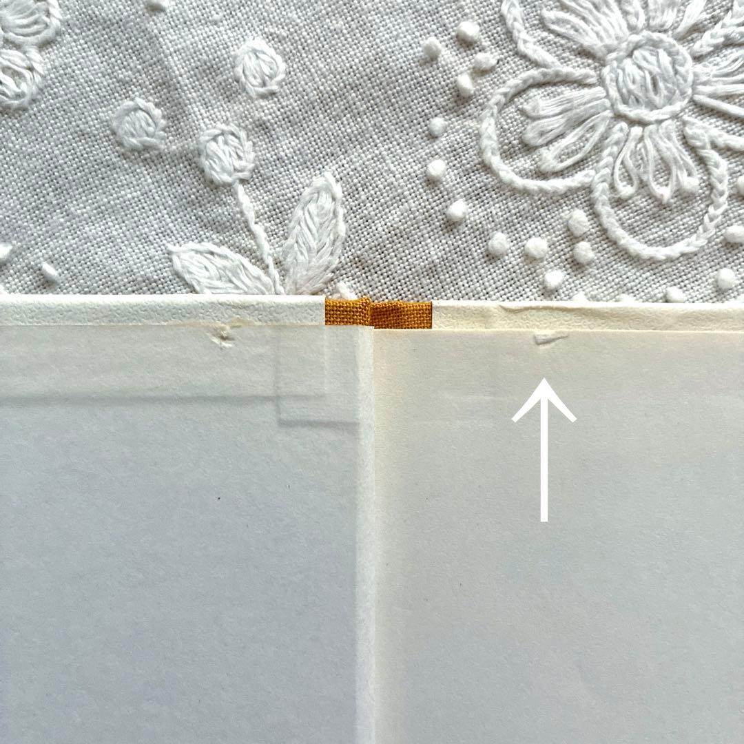 RV62 洋書 素敵な表紙のスウェーデン語本 イーヴァル・アロセニウス