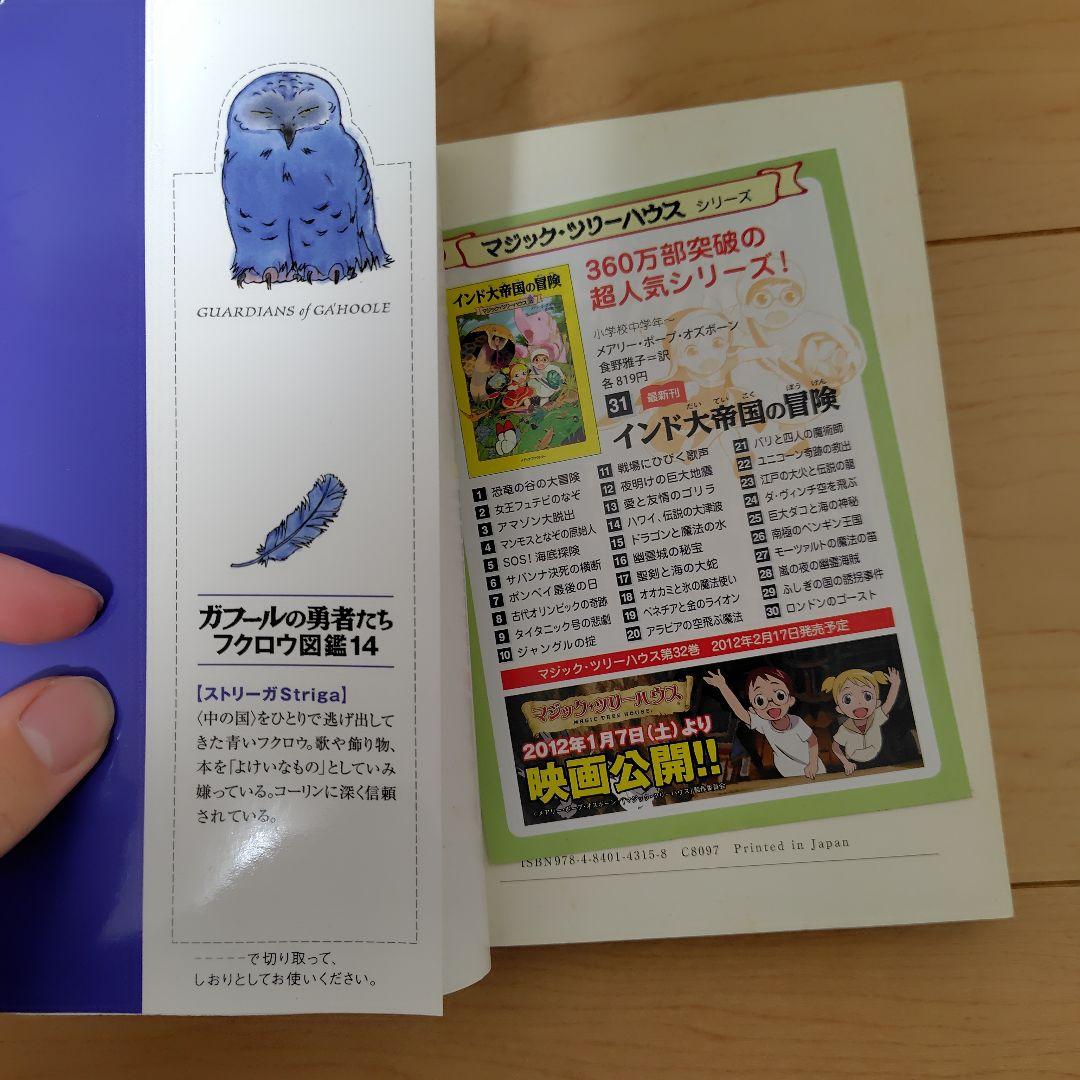 「クイーン・ドラゴン@アヤメ」