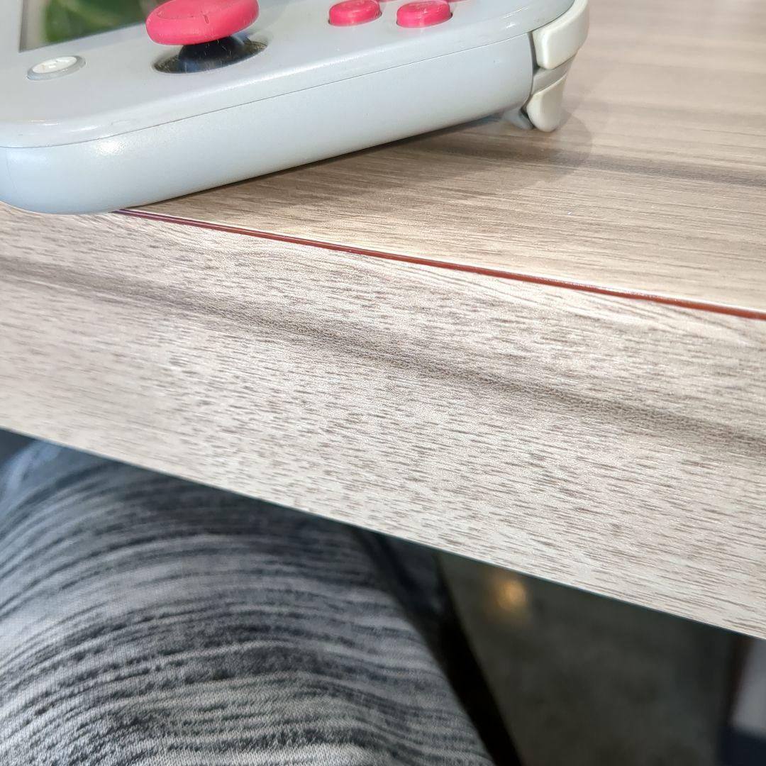 Nintendo Switch Lite ザシアン　ザマゼンタ