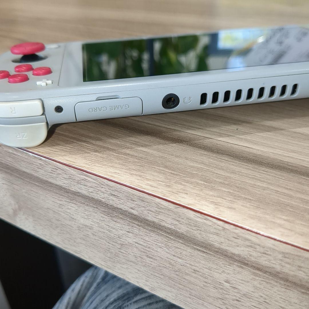 Nintendo Switch Lite ザシアン　ザマゼンタ