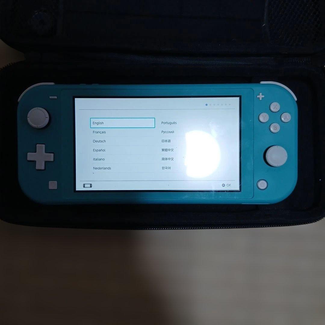動作品　スイッチケース付き　箱無し 充電器付属