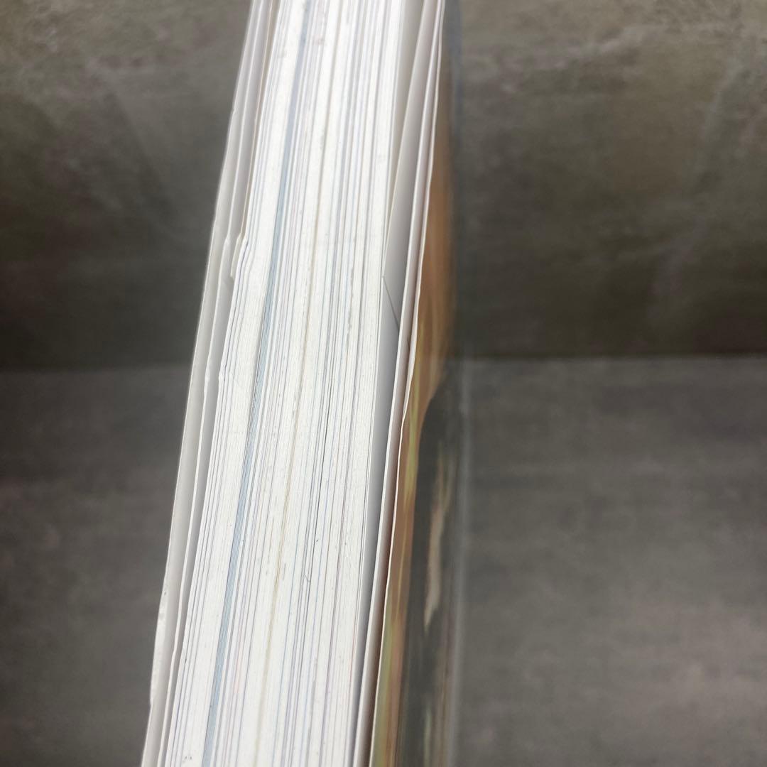 【専用】美樹本晴彦 キャラクターワークス(帯付き)