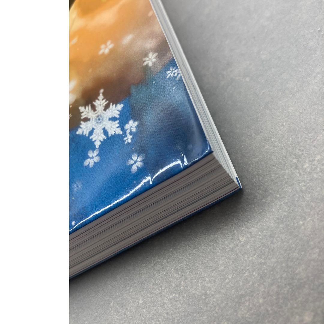 【専用】美樹本晴彦 キャラクターワークス(帯付き)