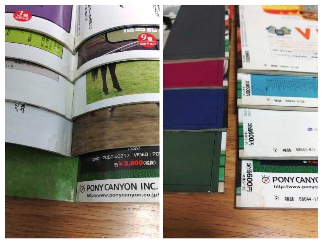 創刊 100名馬 Gallop 特別版