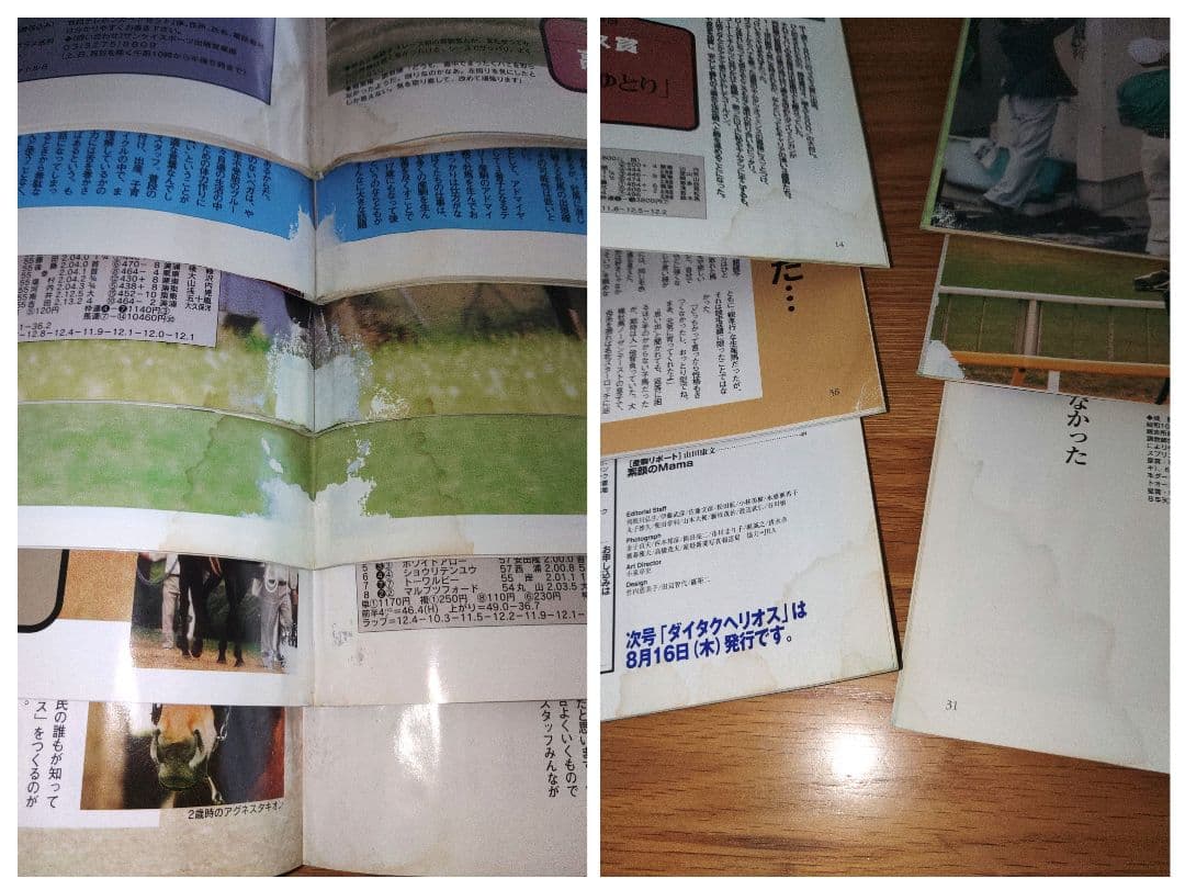 創刊 100名馬 Gallop 特別版