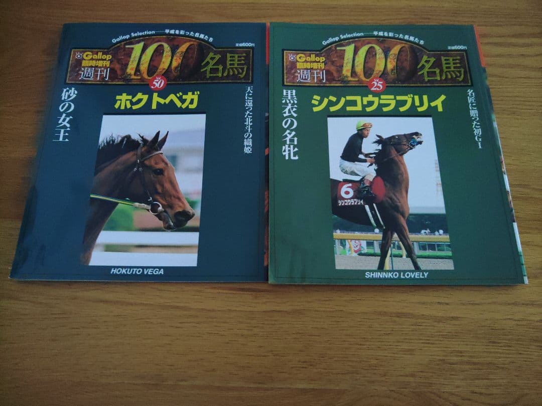創刊 100名馬 Gallop 特別版