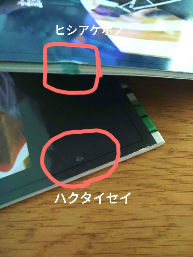 創刊 100名馬 Gallop 特別版