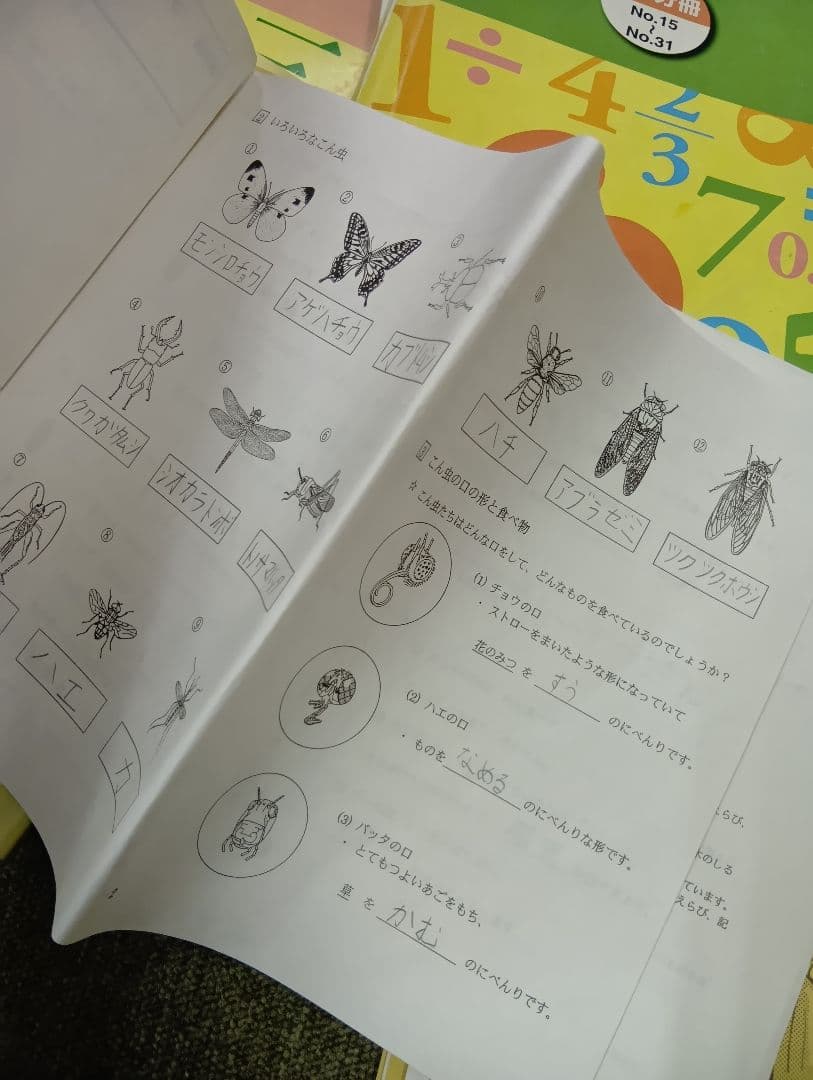 浜学園小3　国語/算数/理科/春夏冬　テキスト　2021年使用版　 中古