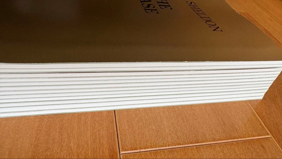 全巻セット　イングリッシュアドベンチャー　追跡　THE CHASE 英語教材