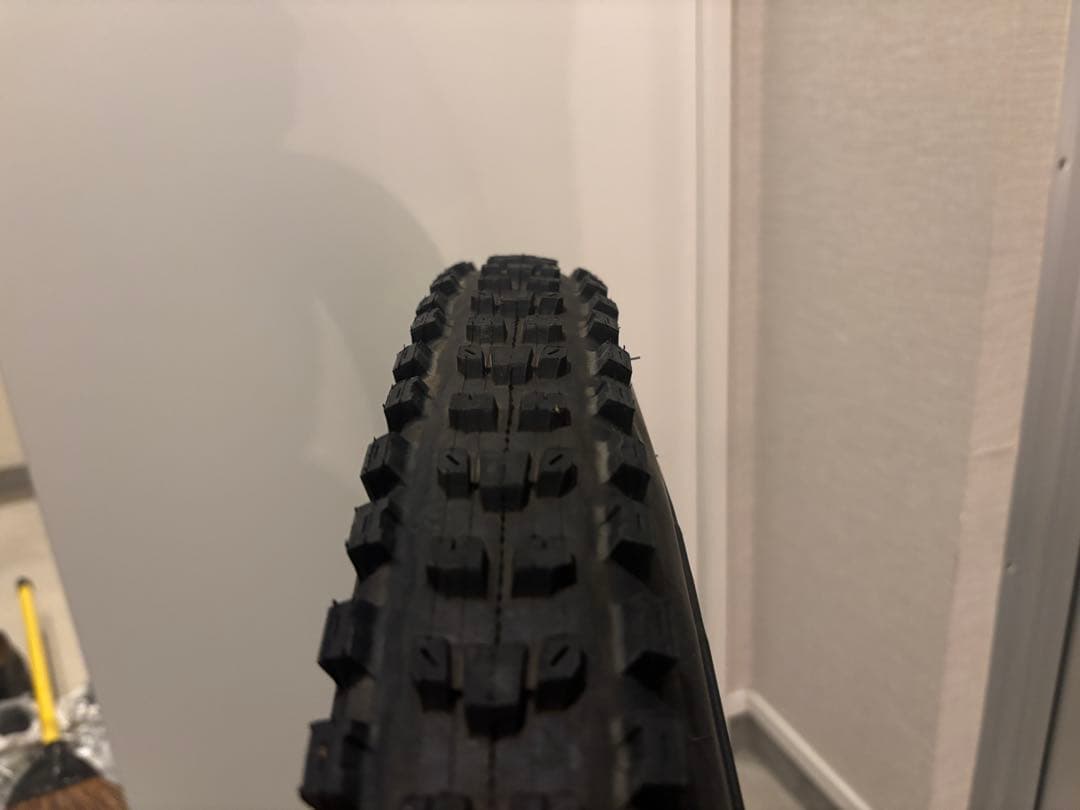 マキシスMAXXISミニオン＆ディセクタ―セット29インチタイヤ2本 MTB