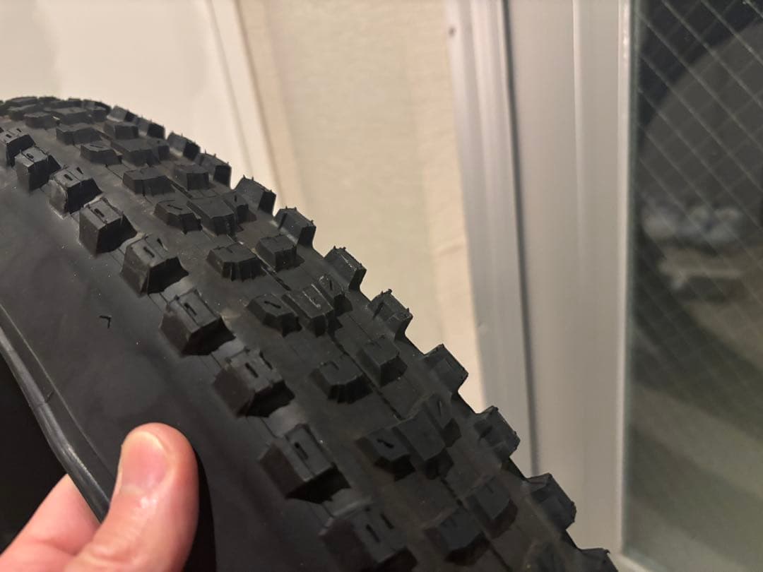 マキシスMAXXISミニオン＆ディセクタ―セット29インチタイヤ2本 MTB