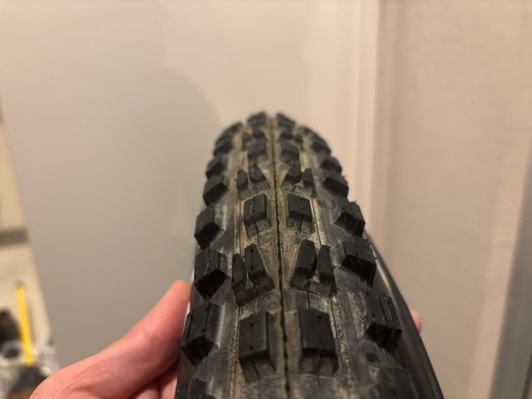 マキシスMAXXISミニオン＆ディセクタ―セット29インチタイヤ2本 MTB