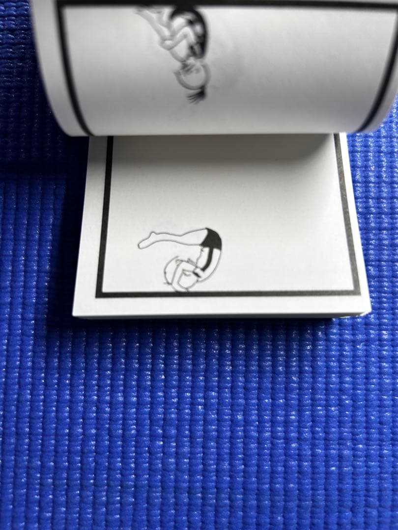 希少・MY FILIP BOOK 全21冊セット(両面刷り) 42種類　器械体操