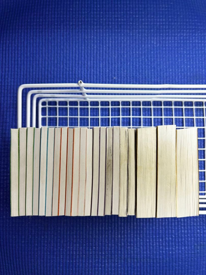 希少・MY FILIP BOOK 全21冊セット(両面刷り) 42種類　器械体操