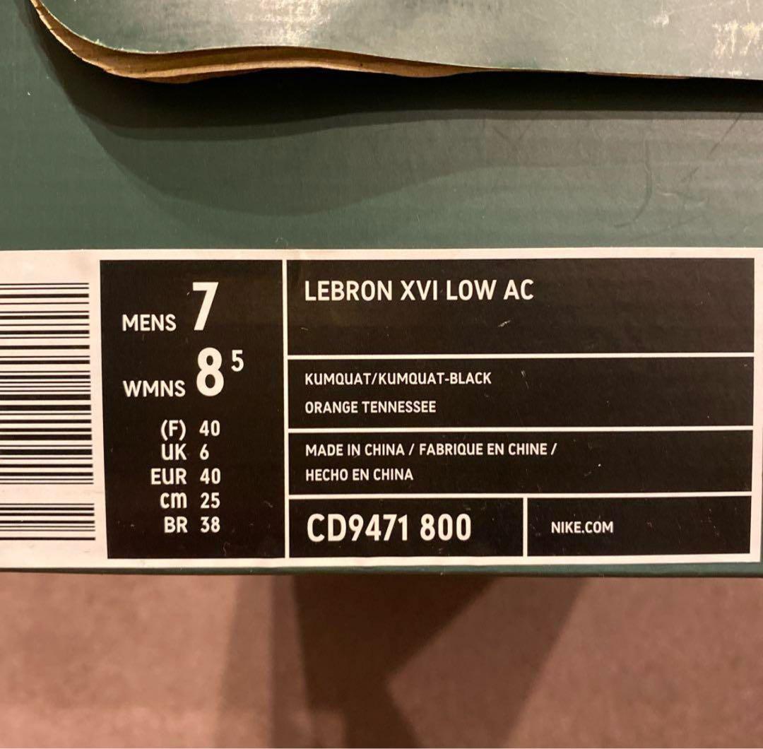 レブロン16サファリアトモスコラボ 25cm 美品