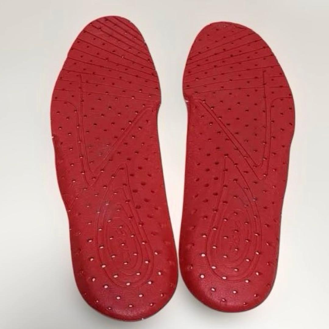 アシックス DS LIGHT X-FLY 5 27.5cm