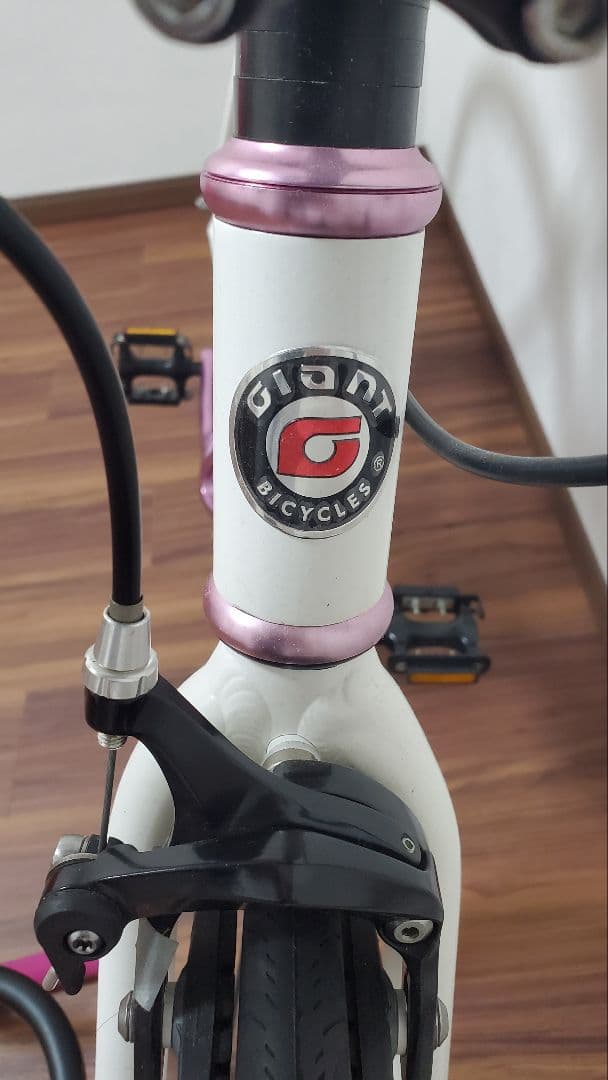 GIANT FixerR 絶版車 ピスト極上美品 引取のみ 大阪 近郊配達可