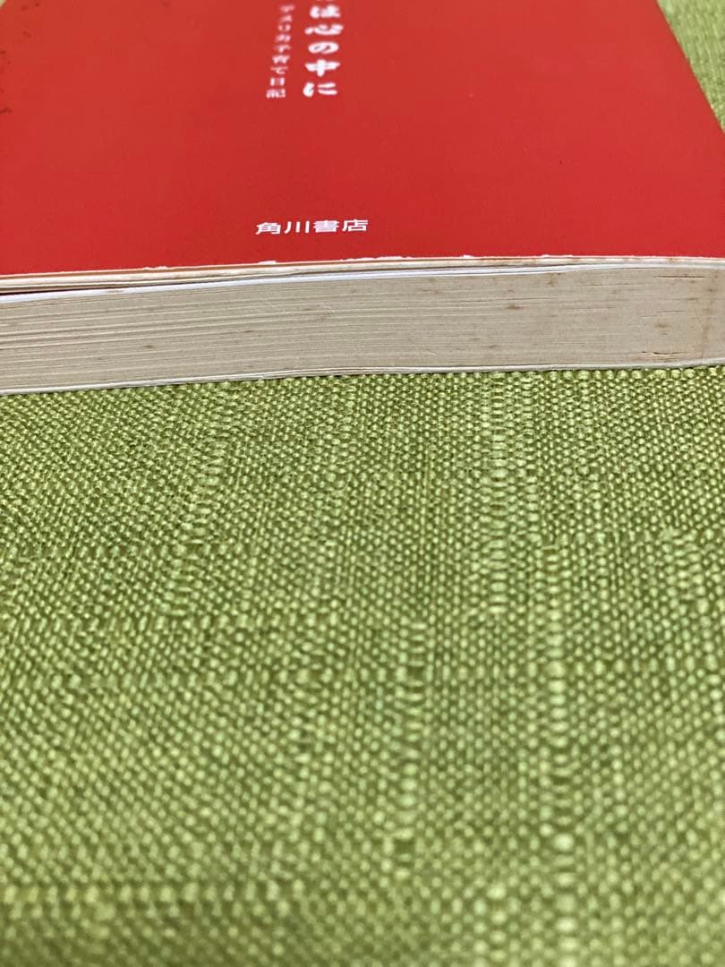 探しものは心の中に : アメリカ子育て日記