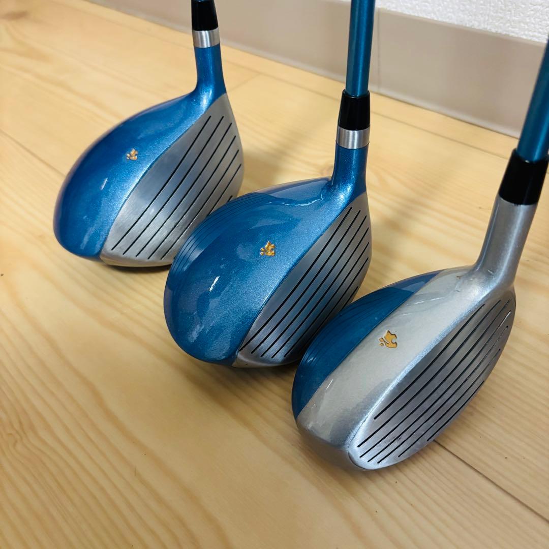 レディースゴルフ Cougar X-CAT 10本セット　初心者