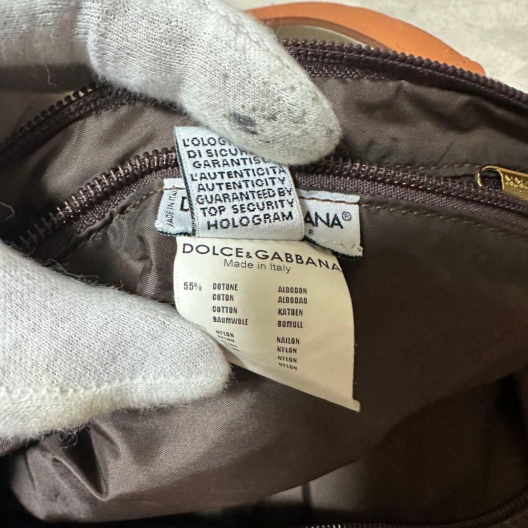 ✨極美品✨ ドルチェ&ガッパーナ ミニ ハンドバッグ ロゴ ヒョウ柄