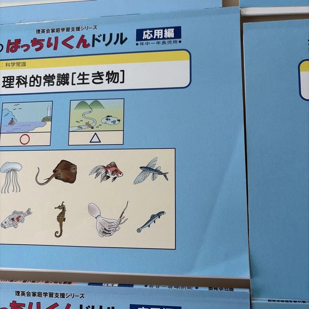 理英会　ばっちりくんドリル 応用編 年中〜年長児用55冊セット　小学校受験