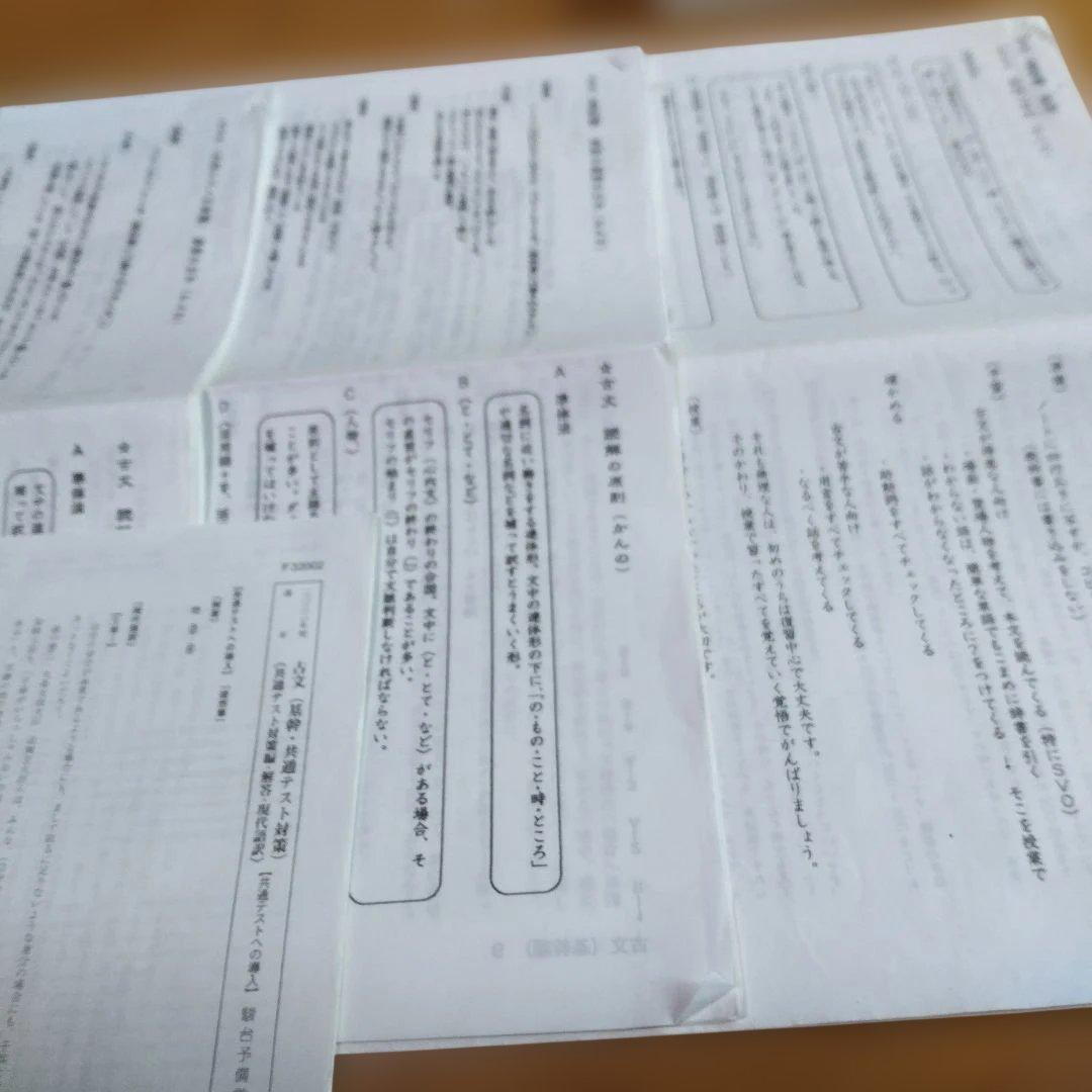 駿台・ 菅野三恵 【①古典文法10題ドリル ②共通テスト対策テキスト等】 3冊