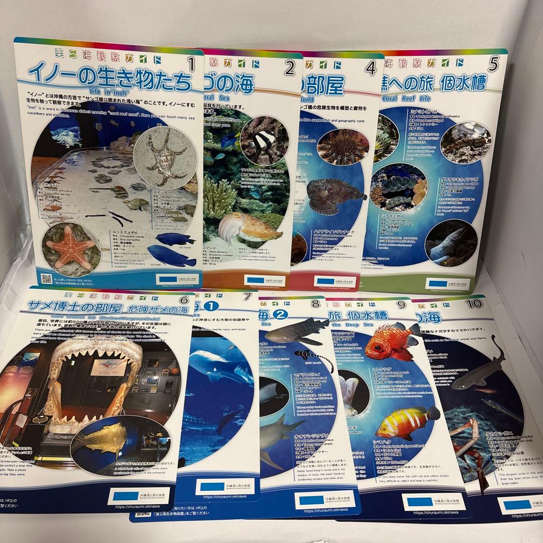 図鑑　13冊セット 図鑑neo 小学館　プレneo 特典付き